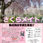 さくらメイトチラシ(表)