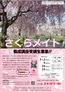 さくらメイトチラシ(表)