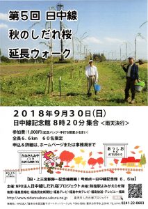 秋のしだれ桜延長ウォーク